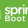 Spring Boot Seat